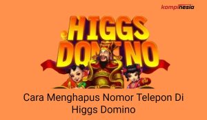 Cara Menghapus Nomor Telepon Di Higgs Domino
