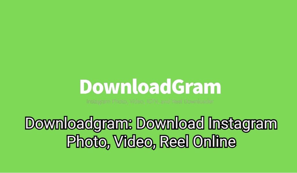 Downloadgram: Download Instagram Photo, Video, Reel Online